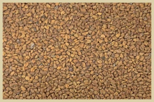 Organic Fenugreek Seeds